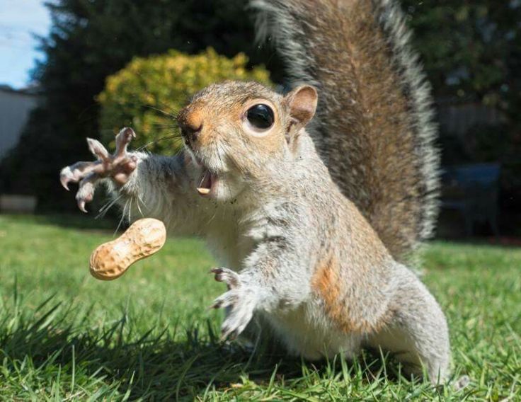 This image has an empty alt attribute; its file name is eee09c36b69932a856b9721088588b52.jpg